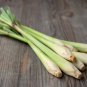 Lemon Grass Seeds Herb Edible Lemongrass Kitchen Vegetable - 400 Seeds