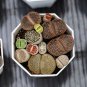 Living Stone Seeds Lithops Succulent - 100 Seeds