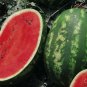 Long Black Sweet Juicy Watermelon - 10 Seeds
