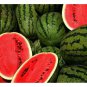Long Black Sweet Juicy Watermelon - 10 Seeds