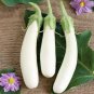 Long White Eggplants, Organic Heirloom Vegetables -  20 Seeds