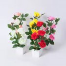 Chinese Rose Tree Bonsai - 10 Seeds Chinese Rose Tree Bonsai - 10 Seeds