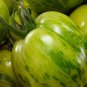 Bright Green White Zebra Tomato - 100 Seeds