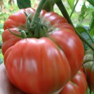 Chocolate Ruffled Tomato - 100 Seeds Chocolate Ruffled Tomato - 100 Seeds