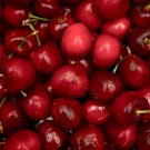 Chinese Red Sweet Cherry Fruit - 20 Seeds Chinese Red Sweet Cherry Fruit - 20 Seeds