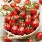 Bright Red Pear Cherry Tomato Organic - 200 Seeds