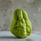 Chocho Magic Pumpkin are Chayote Big Melon Plants Vegetables  - 30 Seeds