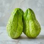 Chocho Magic Pumpkin are Chayote Big Melon Plants Vegetables - 30 Seeds