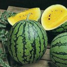 Bright Yellow Watermelon - 40 Seeds Bright Yellow Watermelon - 40 Seeds