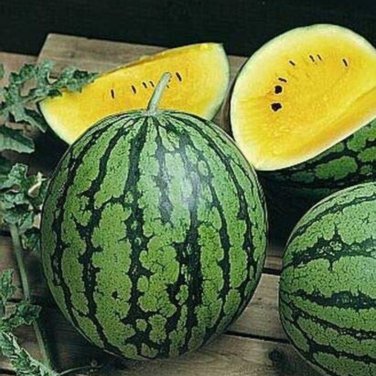 Bright Yellow Watermelon - 40 Seeds