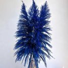 Bulish Black Pampas Grass - 400 Seeds Bulish Black Pampas Grass - 400 Seeds