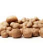 Chinese Yam Vegetable , Herbs Dioscorea Opposita - 6 Seeds