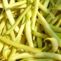 Bush Beans Yellow Wax Bean - 8 Seeds
