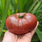 Black Elephant Tomato organic big sweet tomato - 100 Seeds Black Elephant Tomato organic big sweet tomato - 100 Seeds