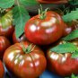 Black Elephant Tomato organic big sweet tomato - 100 Seeds