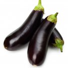 Black Eggplant, Professional Pack - 200 Seeds Black Eggplant, Professional Pack - 200 Seeds