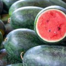 Black Long Sweet Watermelon - 8 Seeds