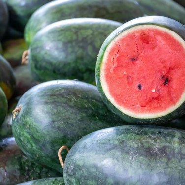 Black Long Sweet Watermelon - 8 Seeds