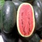 Black Skin Long Red Watermelon - 30 Seeds