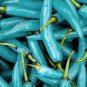 Blue Turquoise Chili Pepper - 20 Seeds
