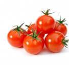 Bonsai Cherry Tomato Red Round Fruit - 100 Seeds Bonsai Cherry Tomato Red Round Fruit - 100 Seeds