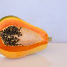 Bonsai Fruit Dwarf Papaya Miniature Pawpaw - 50 Seeds Bonsai Fruit Dwarf Papaya Miniature Pawpaw - 50 Seeds
