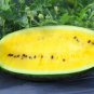 Big Super Black Skin Yellow Oval Sweet Organic Watermelon - 80 Seeds