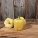 Medium Maturity F1 Hybrid White Sweet Bell Pepper - 5 Seeds Medium Maturity F1 Hybrid White Sweet Bell Pepper - 5 Seeds