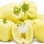Medium Maturity F1 Hybrid White Sweet Bell Pepper - 5 Seeds