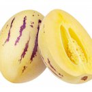 Melon Pepion (Solanium Muricata) Organic Heirloom - 20 Seeds