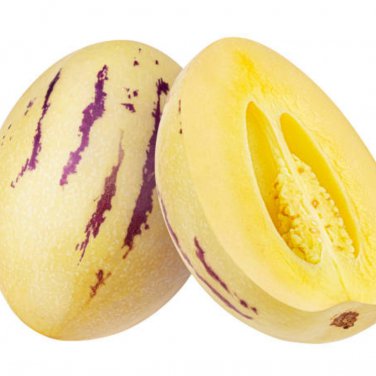 Melon Pepion (Solanium Muricata) Organic Heirloom - 20 Seeds