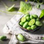 Melothria scabra Cucamelon Mouse Melon - 100 Seeds