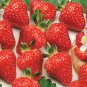 Merlan F1 Strawberry - 100 Seeds