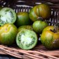 Middle Green Tomato with Dark Green Stripe Original - 300 Seeds