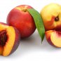 Middle-sized Nectarine Smooth-skinned Peach Fruit - 2 Seeds