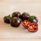 Mini Chocolate Sweet Bell Pepper - 20 Seeds Mini Chocolate Sweet Bell Pepper - 20 Seeds