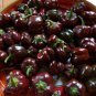Mini Chocolate Sweet Bell Pepper - 20 Seeds