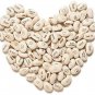 Lot Mini Magic White Bean Seeds Gift Plant - 100 Seeds