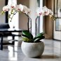 Mini Orchid Seeds Mixed 3 Colors Flowers - 100 Seeds