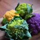 Mix Four Varieties Cauliflower Professional Pack - 300 Seeds