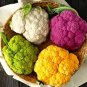 Mix Four Varieties Cauliflower Professional Pack - 300 Seeds