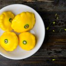 Mix Scalloped Patty Pan UFO Squash - 8 Seeds