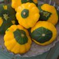 Mix Scalloped Patty Pan UFO Squash - 8 Seeds