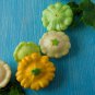Mix Scalloped Patty Pan UFO Squash - 8 Seeds