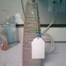 Glass Vase