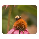 Bee on a cone flower - Mouse pad