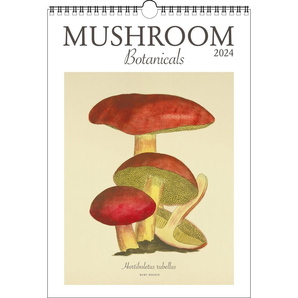 Mushroom Poster 2024 Wall Calendar   657e927e8e52a 613294b 