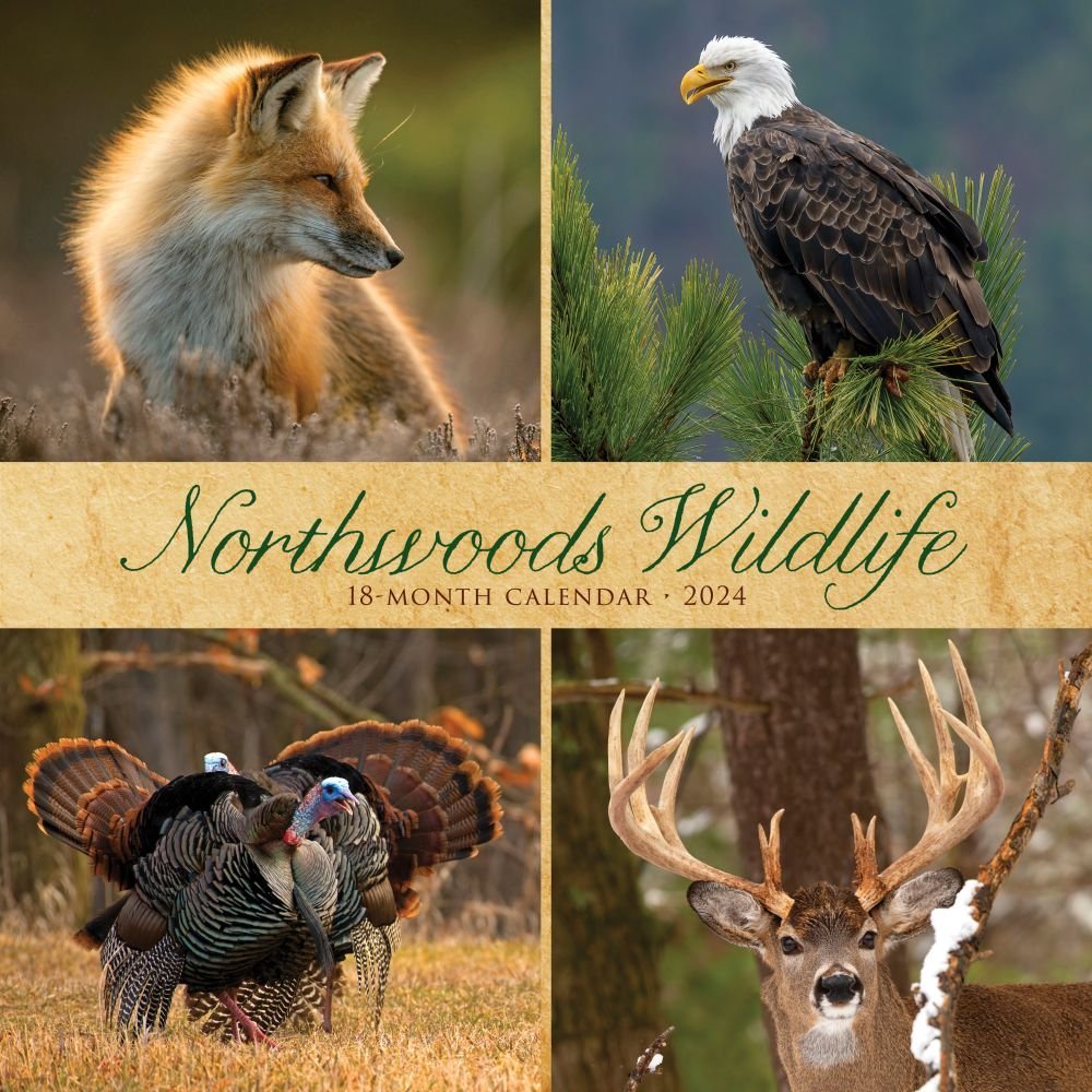 Northwoods Wildlife 2024 Wall Calendar   657ef8cc7ca16 613294b 