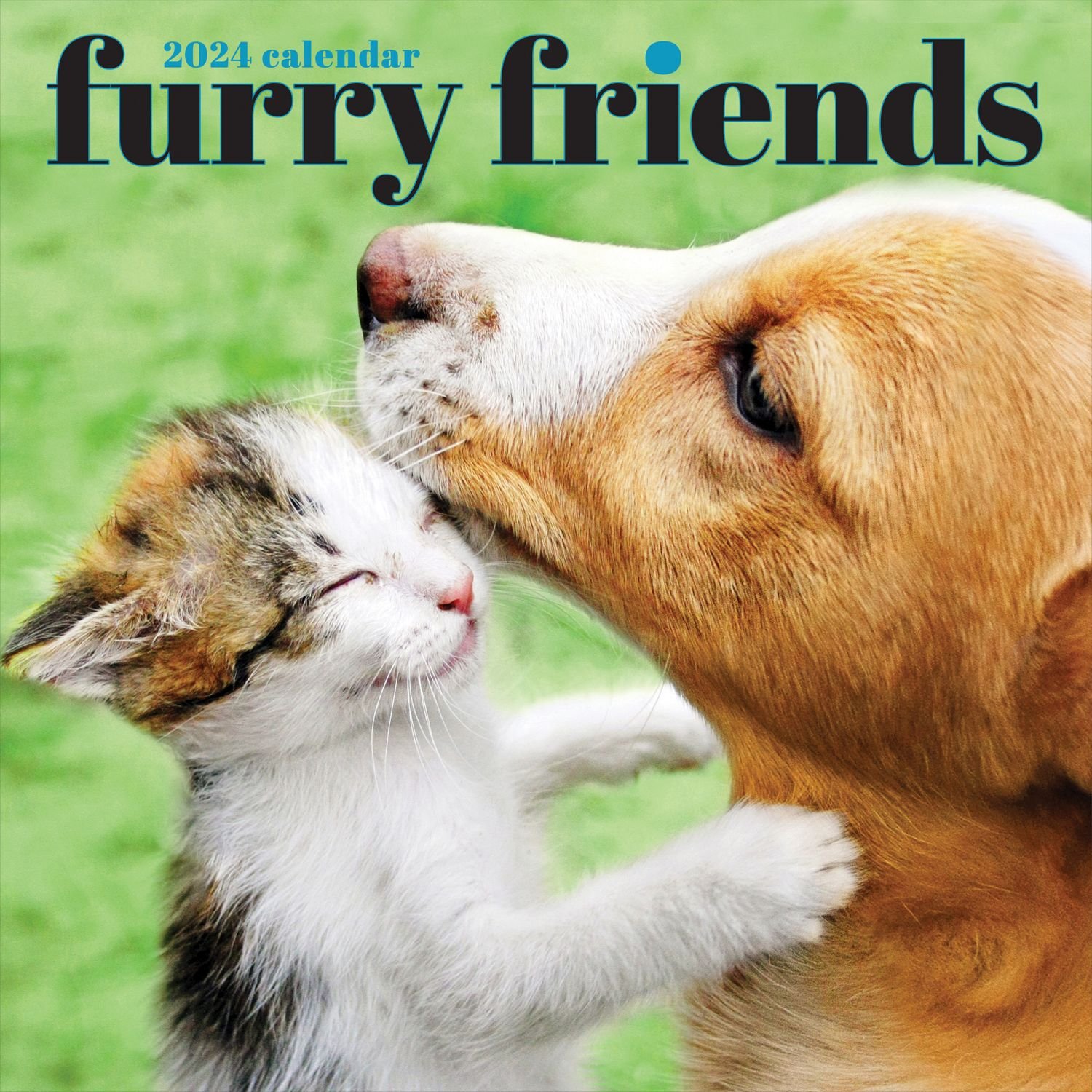 Furry Friends 2024 Wall Calendar