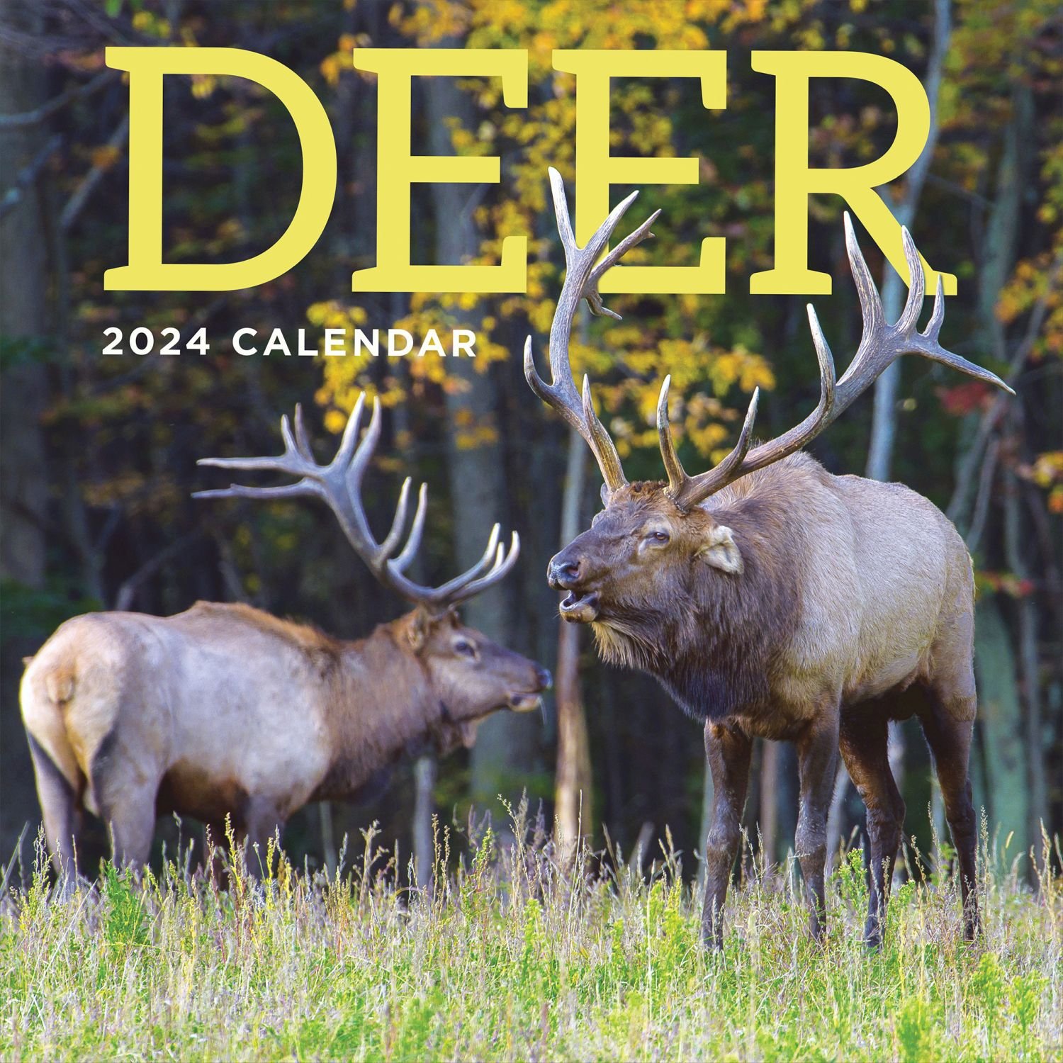 Deer Season 2024 Nebraska Calendar - Rahel Carmelle